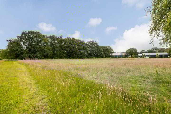 Foto 7 van Rodeschuurderwegje