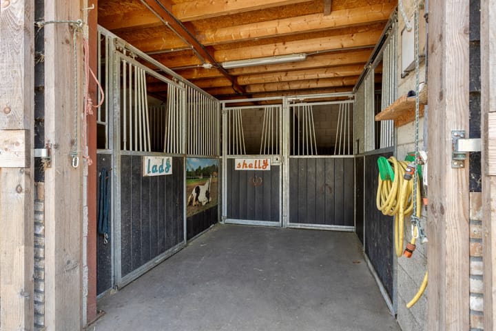 Photo 40 of Vogelstraat 29