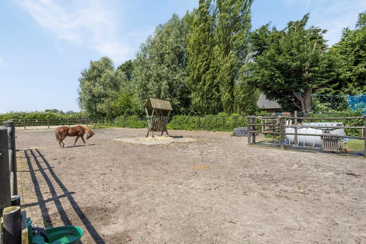 Photo 43 of Vogelstraat 29