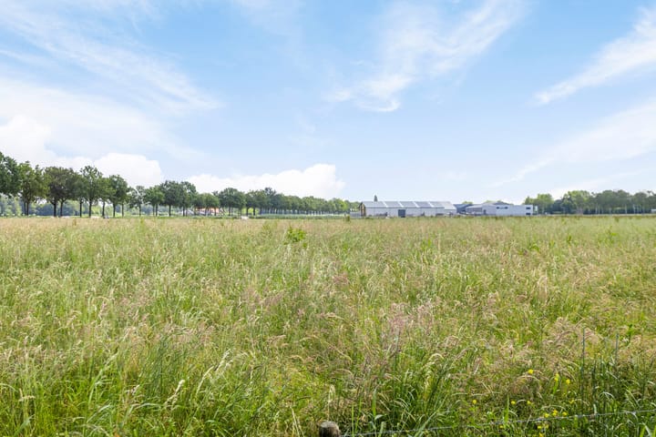 Photo 46 of Vogelstraat 29