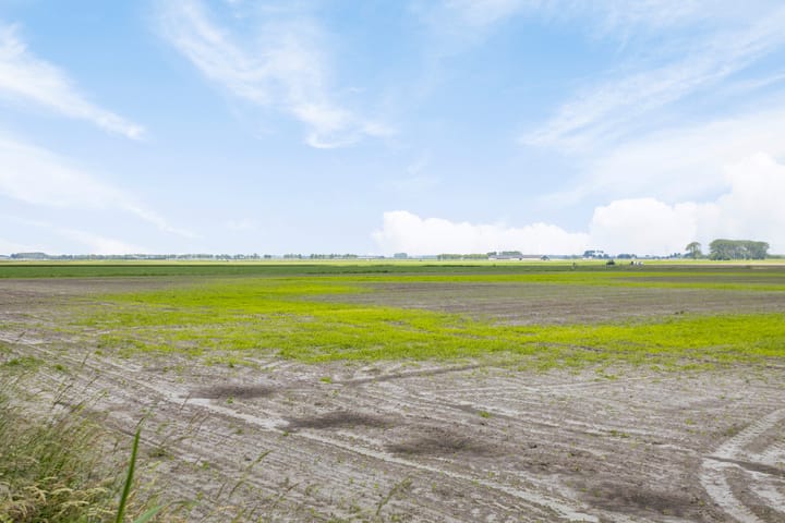 Photo 47 of Vogelstraat 29