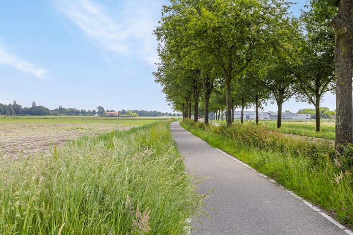 Photo 48 of Vogelstraat 29