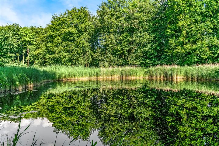 Bekijk foto 40 van Bezuidenhoutseweg 72-G