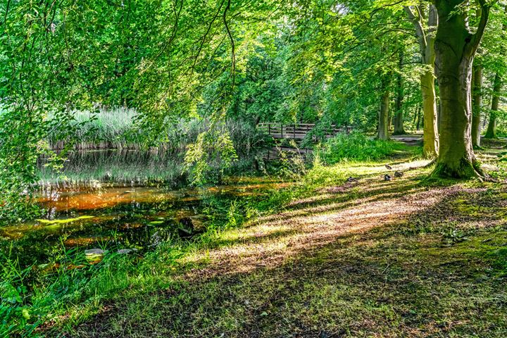 Bekijk foto 41 van Bezuidenhoutseweg 72-G