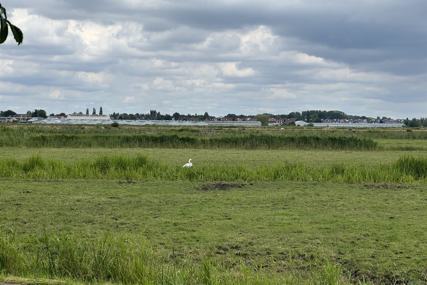 Bekijk foto 4 van Grondposities