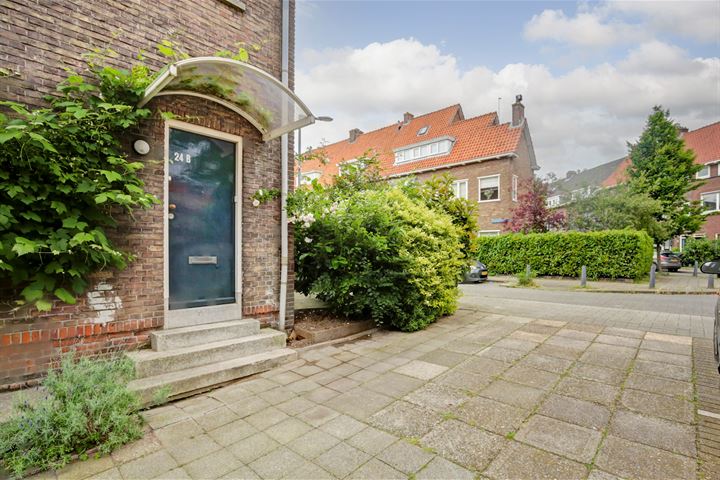 Bekijk foto 25 van Hagedoornstraat 24-B