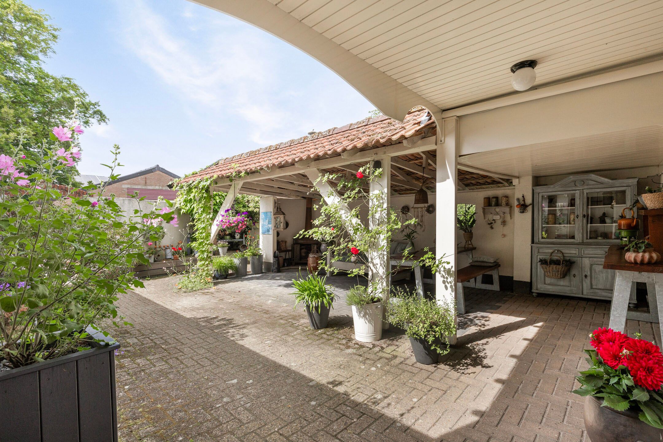 Foto 24 van Vaart Zz 114