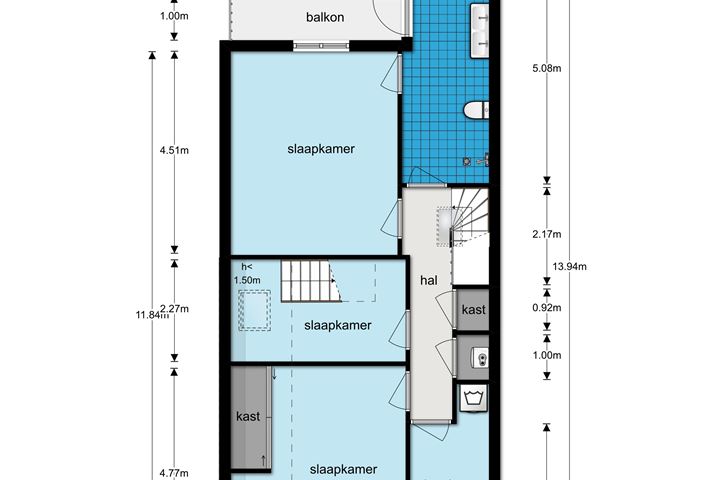 Bekijk foto 50 van Willemsparkweg 30-1