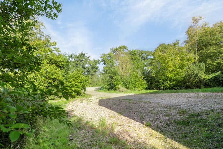 Bekijk foto 5 van Grijpskerkseweg 2