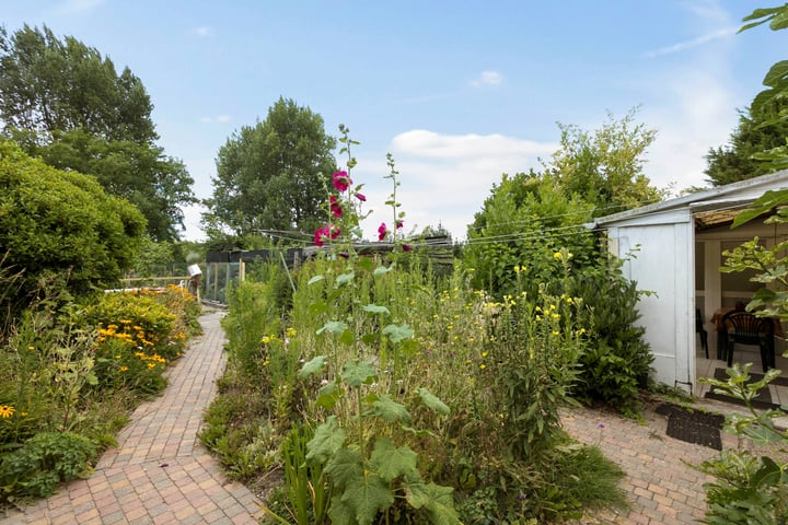 Bekijk foto 40 van Grijpskerkseweg 2