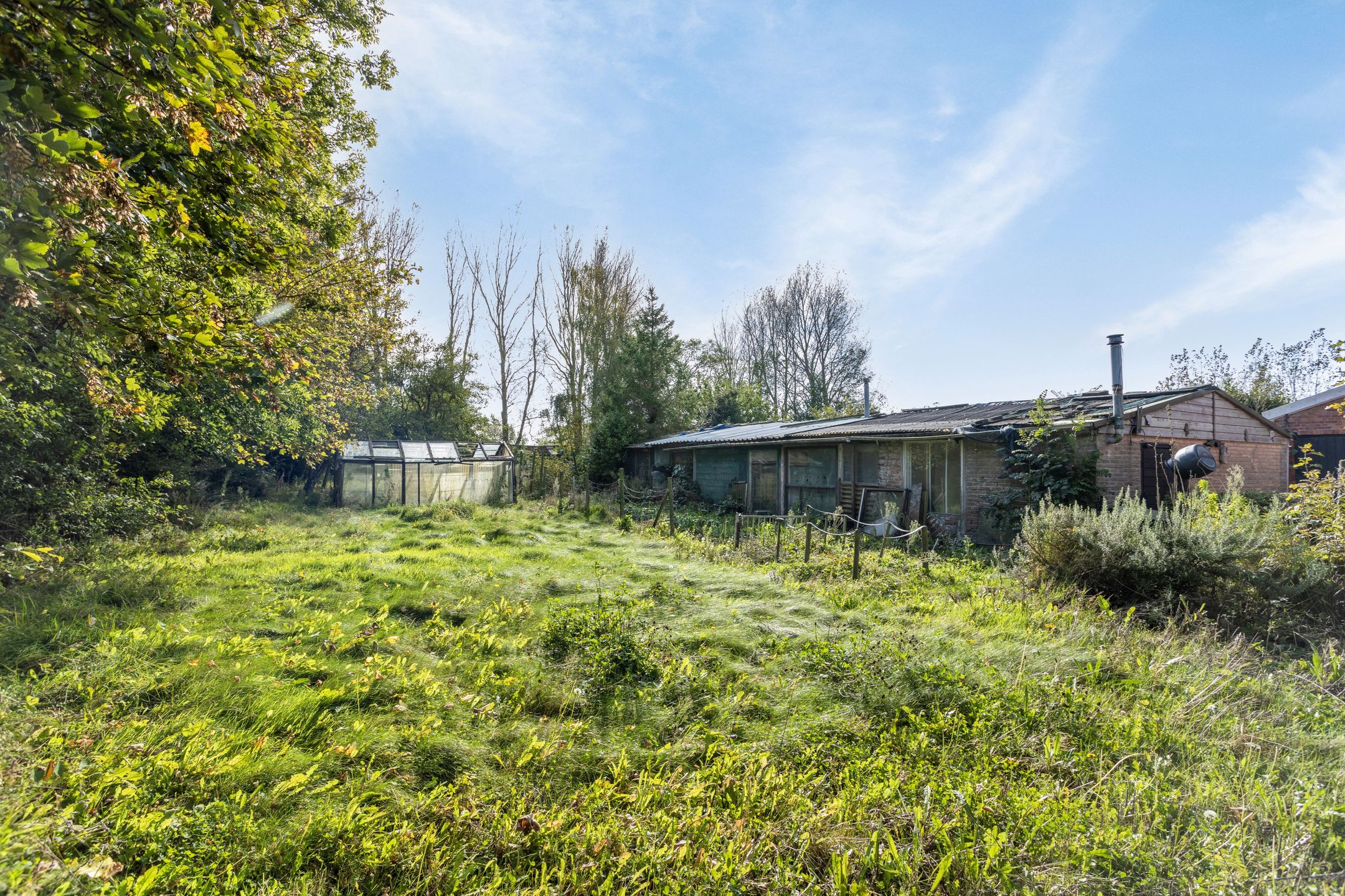 Photo 51 of Grijpskerkseweg 2