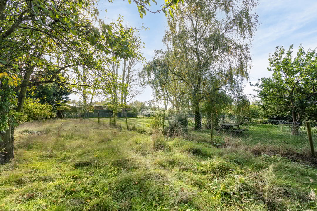 Photo 52 of Grijpskerkseweg 2