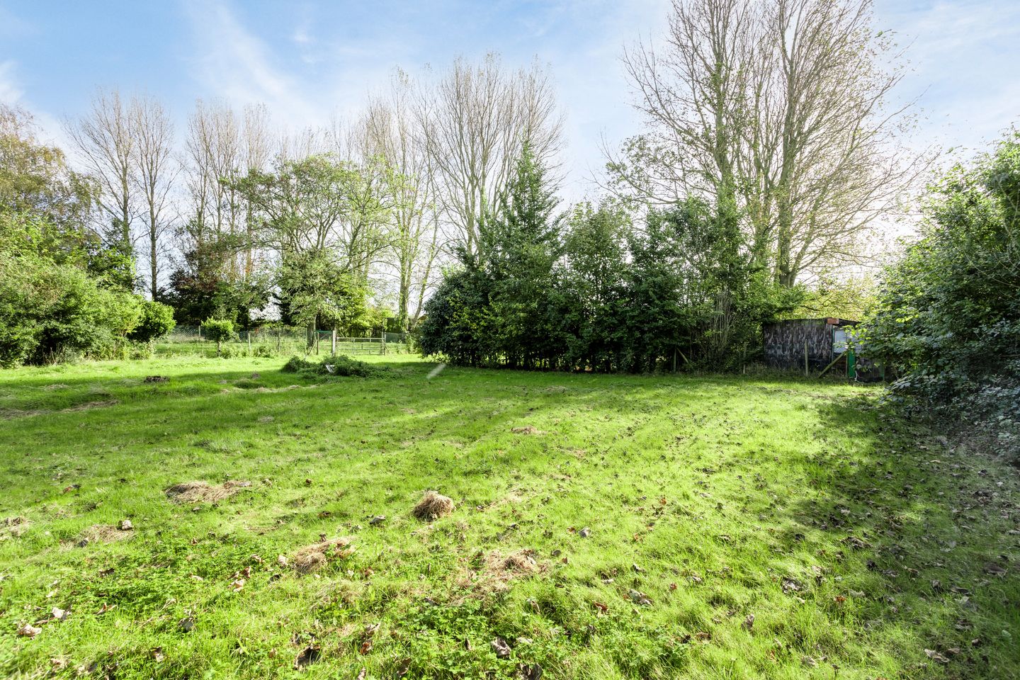 Photo 55 of Grijpskerkseweg 2