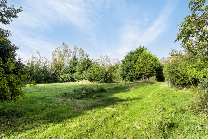 Bekijk foto 56 van Grijpskerkseweg 2