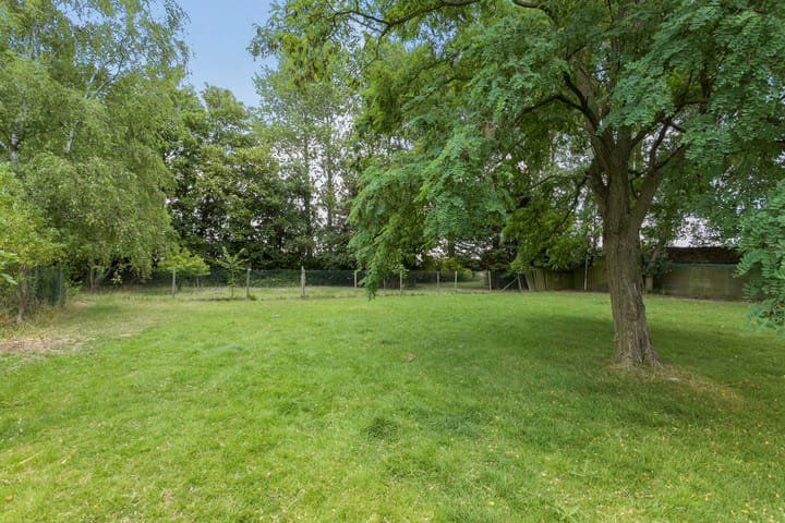 Foto 59 van Grijpskerkseweg 2