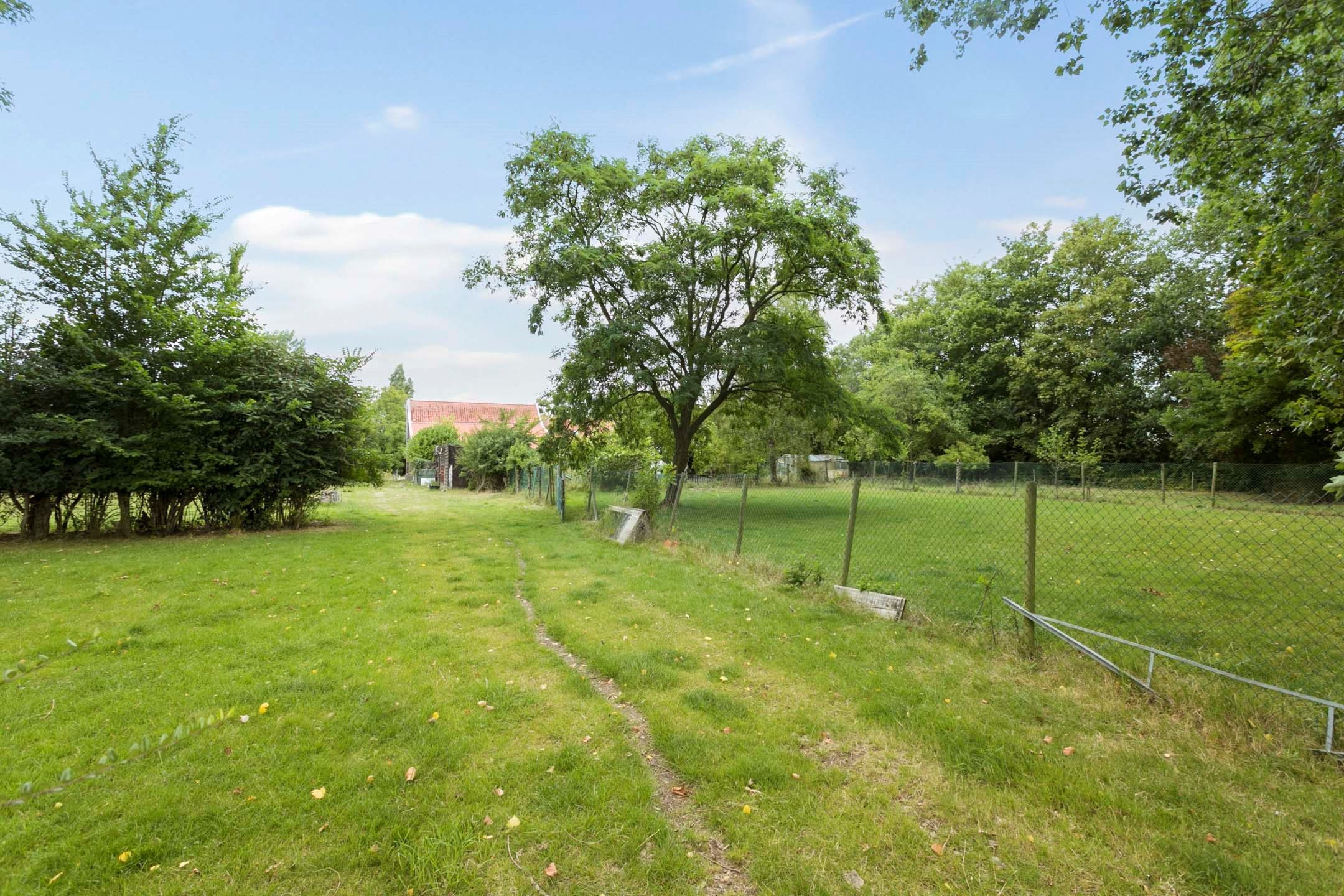 Photo 60 of Grijpskerkseweg 2