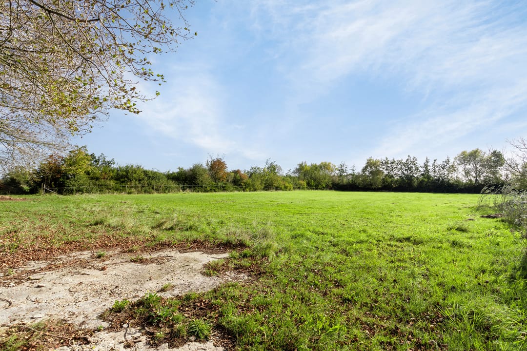 Photo 61 of Grijpskerkseweg 2