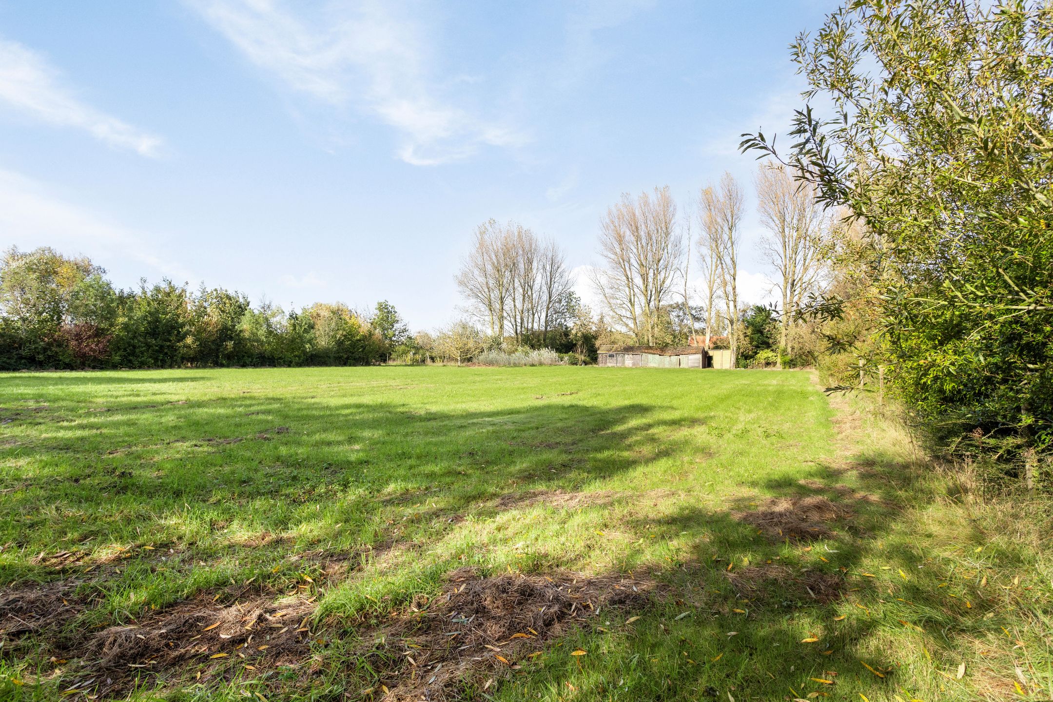 Photo 63 of Grijpskerkseweg 2