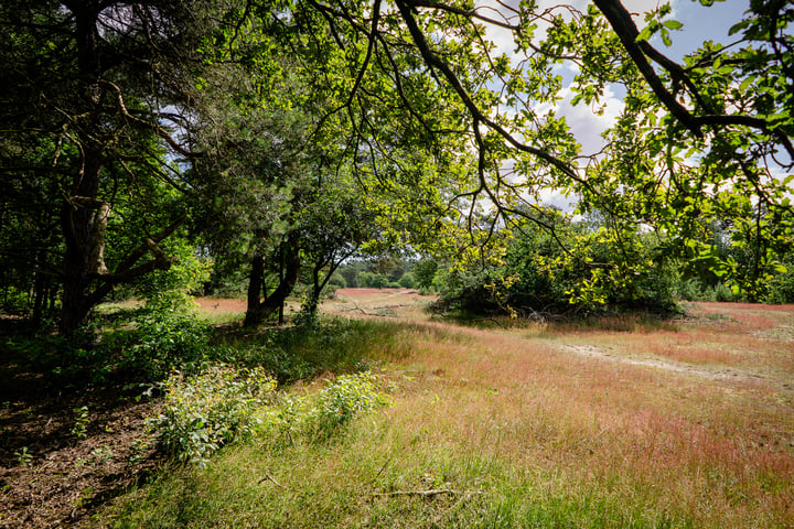 Bekijk foto 29 van Kerkendelweg 30-40