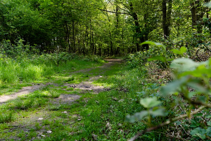 Bekijk foto 34 van Kerkendelweg 30-40