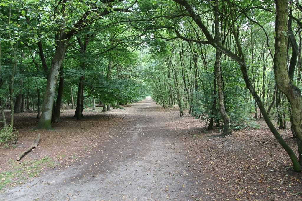 Photo 37 of Buinerweg 8-75