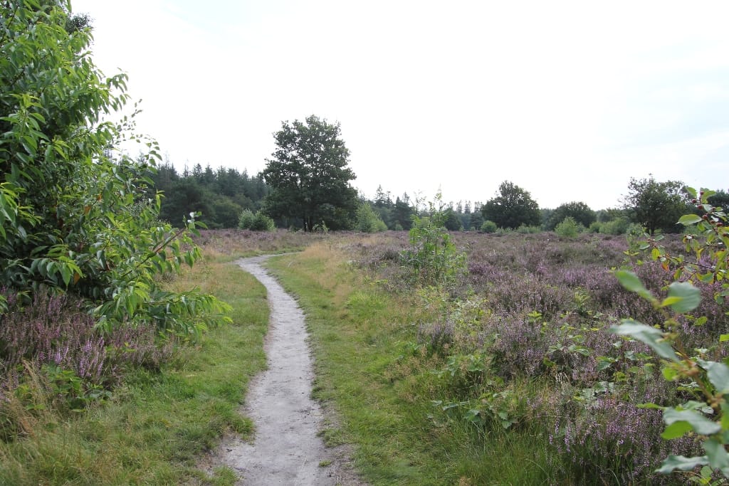 Photo 38 of Buinerweg 8-75