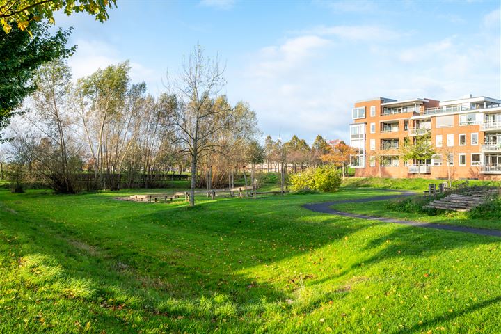 Bekijk foto 30 van Boogmuur 109