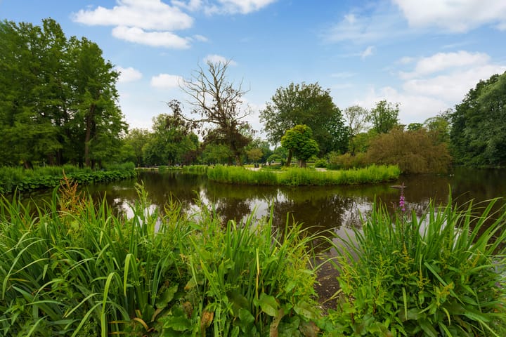 Foto 46 van Roemer Visscherstraat 9-A