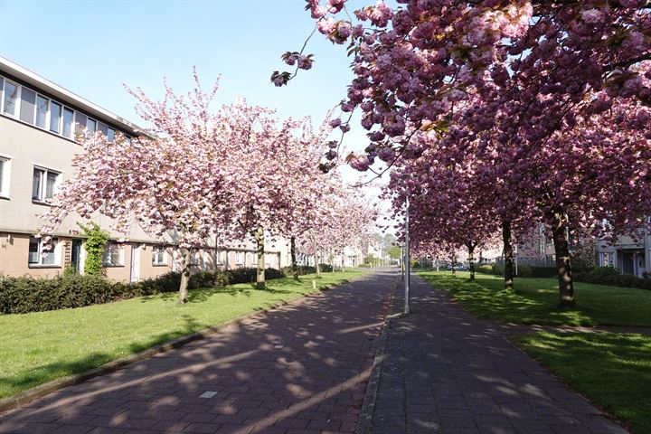 Bekijk foto 33 van Zeelandiahoeve 80