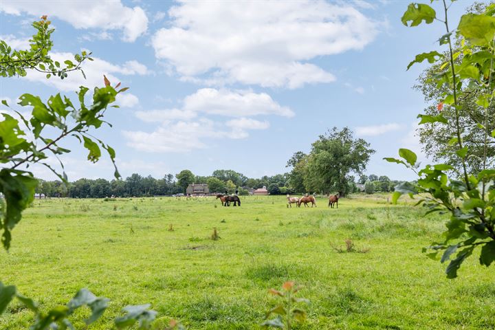 Bekijk foto 53 van Achterkampweg 14