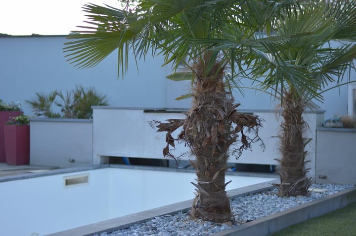 Foto 28 van Moltweg 91