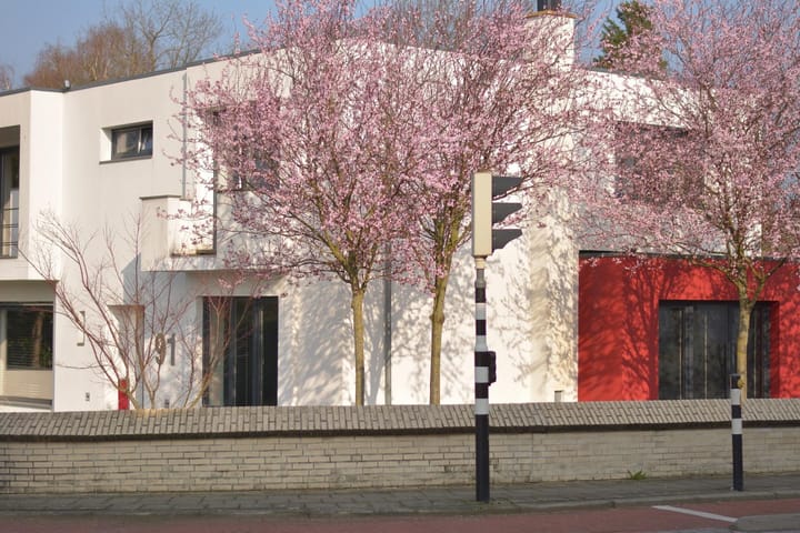 Foto 3 van Moltweg 91