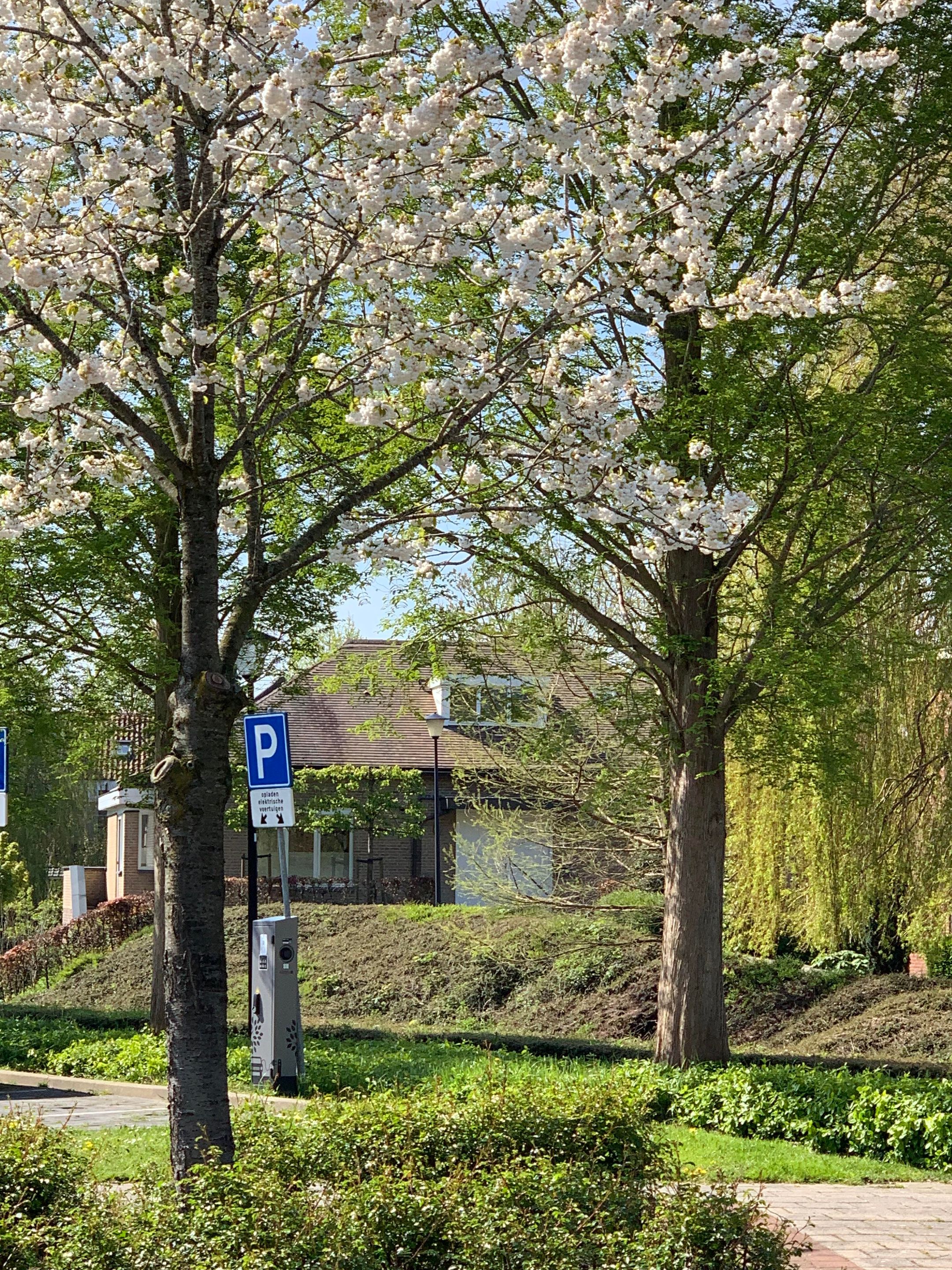 Foto 66 van Isaäc da Costastraat 81