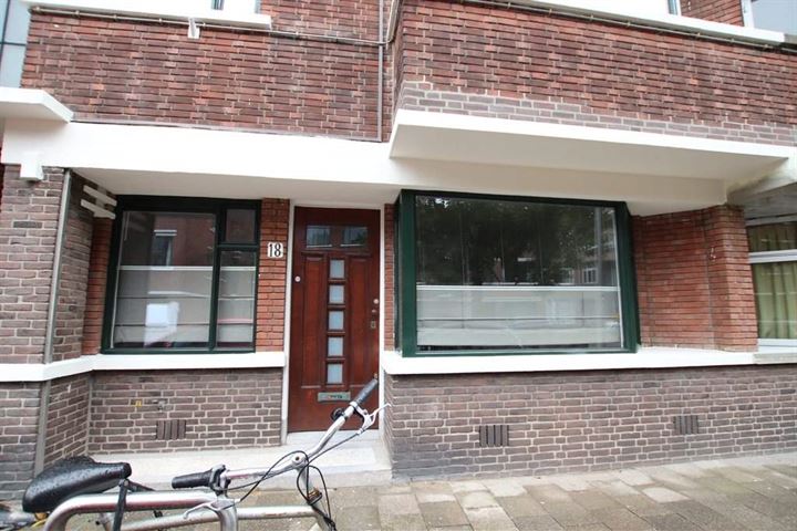 Bekijk foto 1 van Cornelis van der Lijnstraat 18