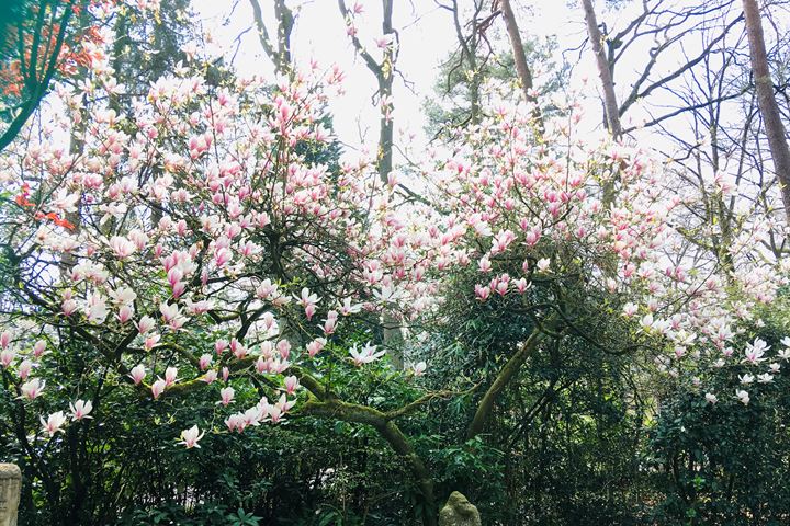 Bekijk foto 33 van Montensbos 47