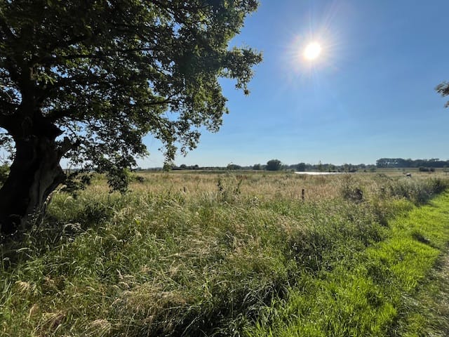 Photo 3 of Kapelstraat 36