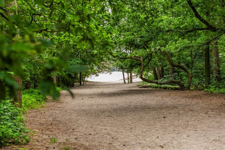 Bekijk foto 45 van Heideweg 43