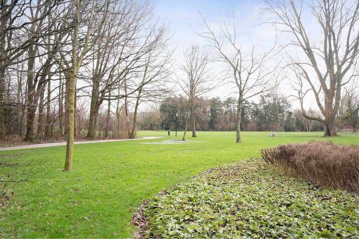 Bekijk foto 37 van Rosmolenstraat 87