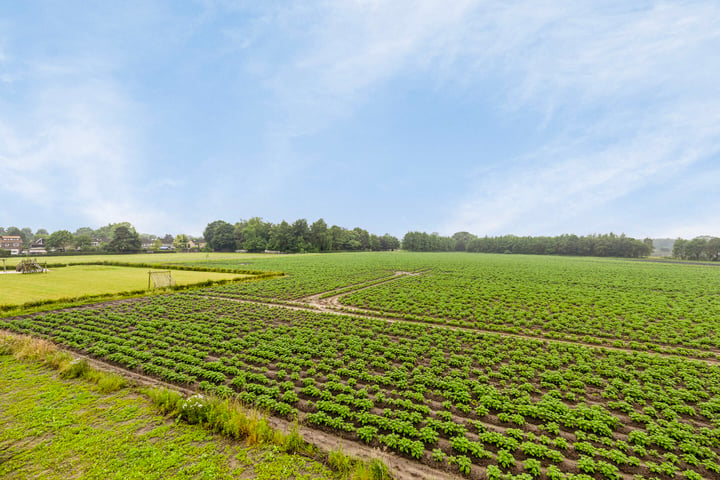 Bekijk foto 41 van Koymansakker 31