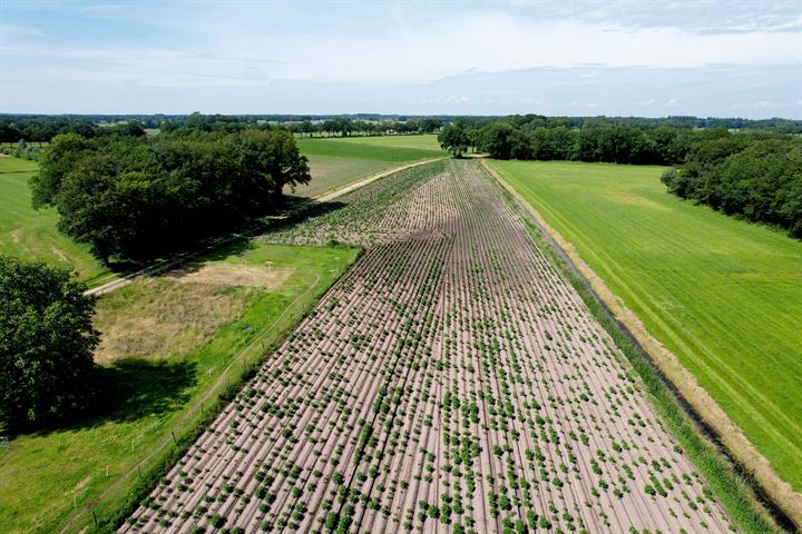 Bekijk foto 11 van Peppeldijk 1