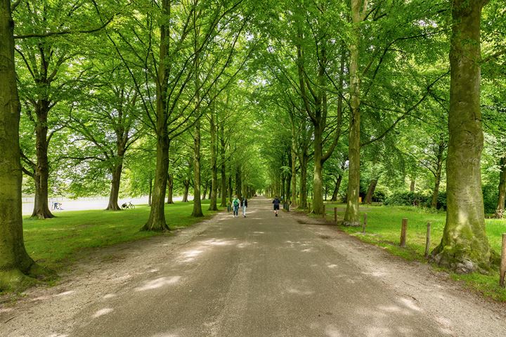 Bekijk foto 36 van Hart Nibbrigkade 109