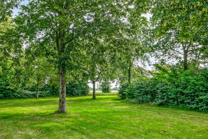 Foto 44 van Thujalaan 4