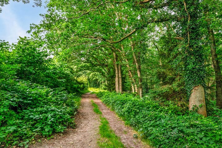 Foto 46 van Thujalaan 4