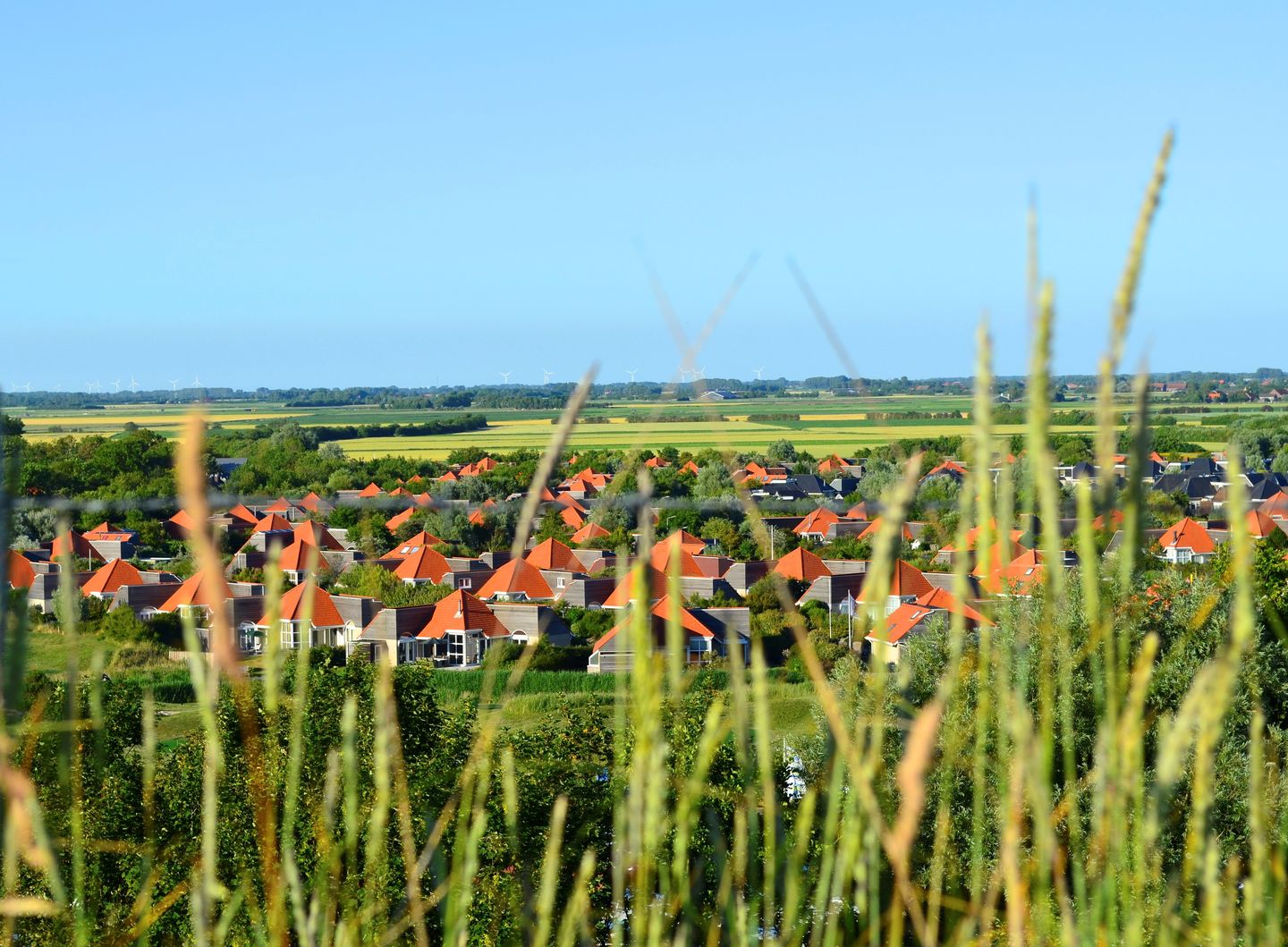 Foto 35 van Steenloper 2