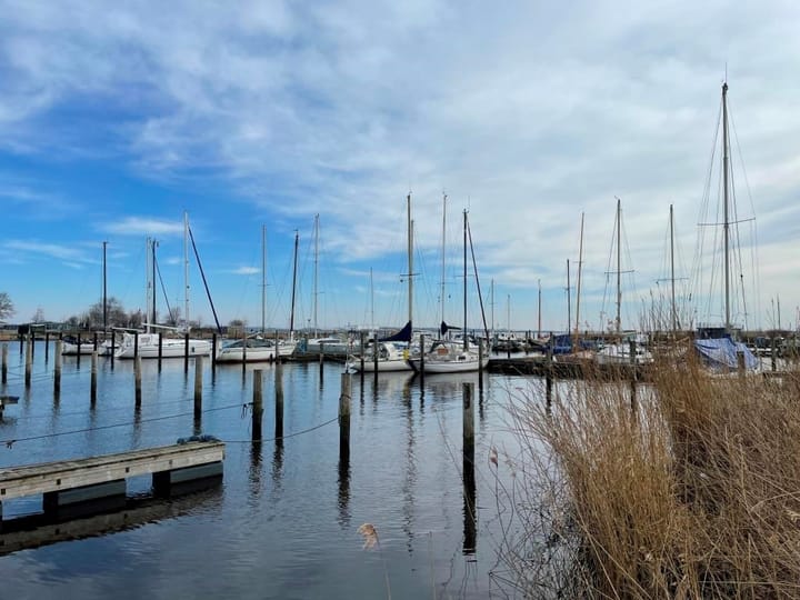 Foto 13 van Grote Siege