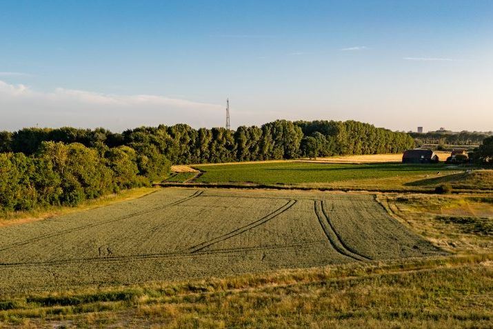 Bekijk foto 7 van Koninginnenkruid (Bouwnr. 0)