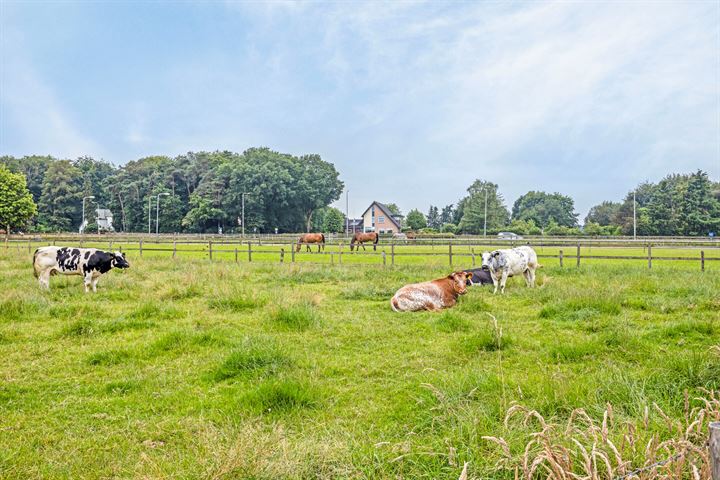 Bekijk foto 43 van Meester Van der Kampweg 19