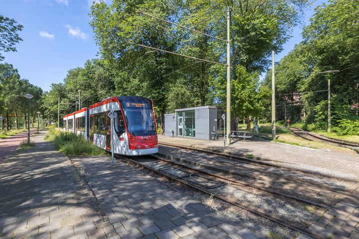 Bekijk foto 25 van Melis Stokezijde 31