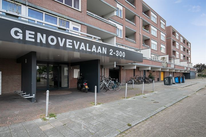 Bekijk foto 3 van Genovevalaan 58