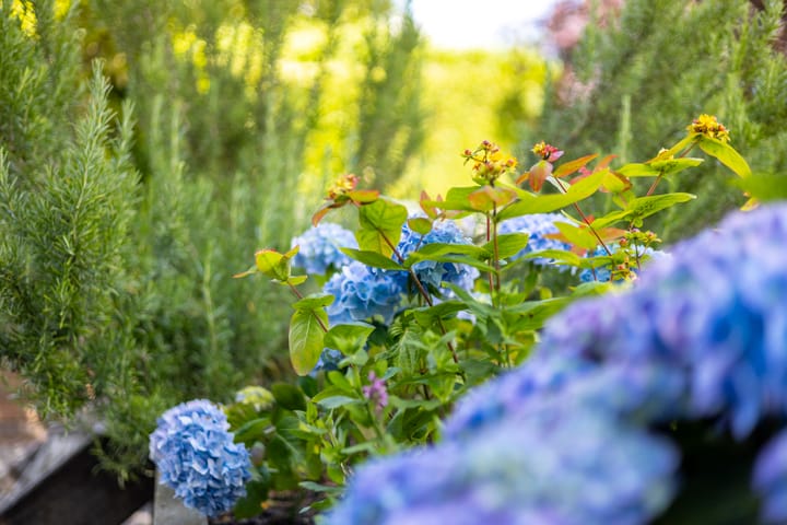 Foto 23 van Fazantstraat 13